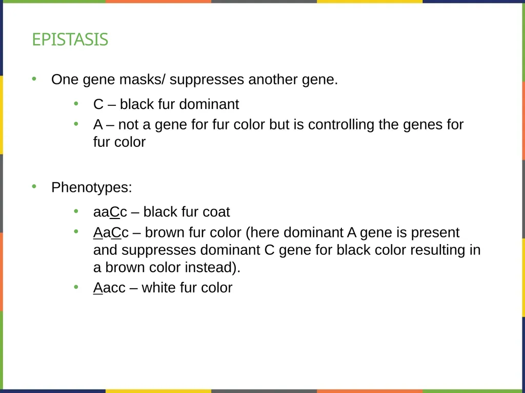 Chapter 8 PATTERNS OF INHERITANCE PowerPoint Image - slide 33 of 36
