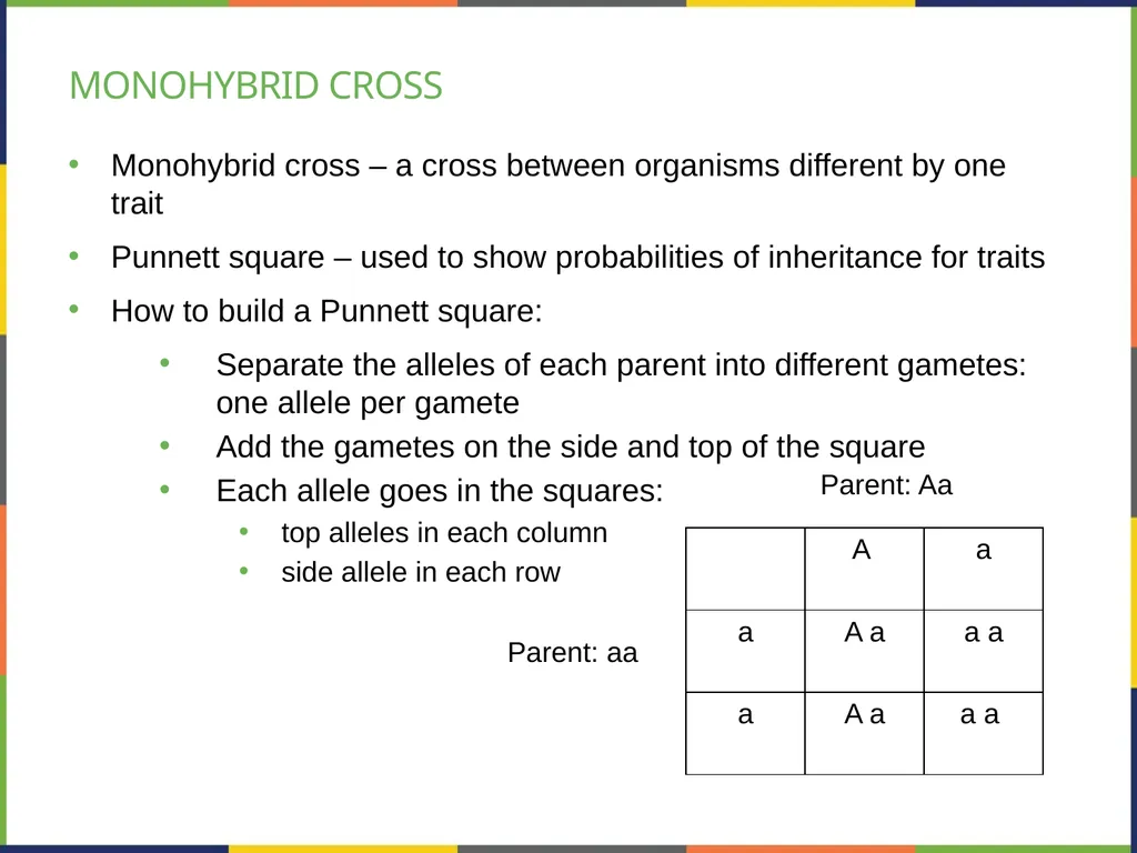 Chapter 8 PATTERNS OF INHERITANCE PowerPoint Image - slide 17 of 36