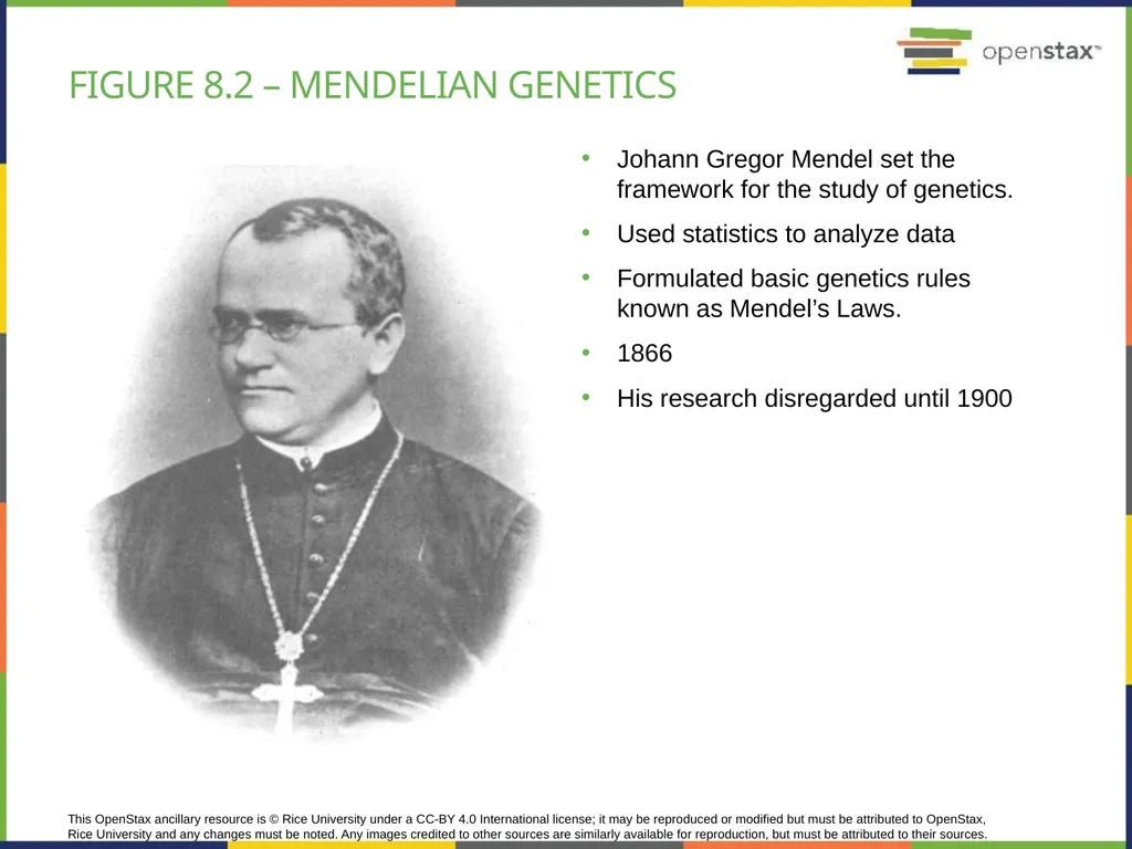 Chapter 8 PATTERNS OF INHERITANCE PowerPoint Image - slide 2 of 36