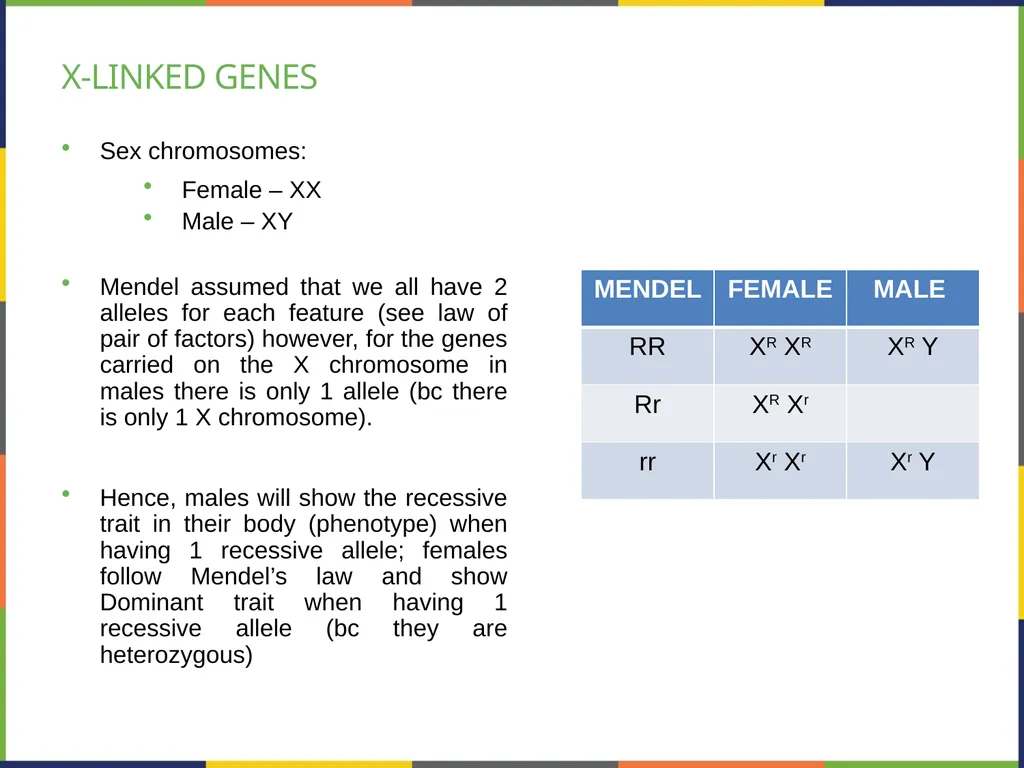Chapter 8 PATTERNS OF INHERITANCE PowerPoint Image - slide 30 of 36