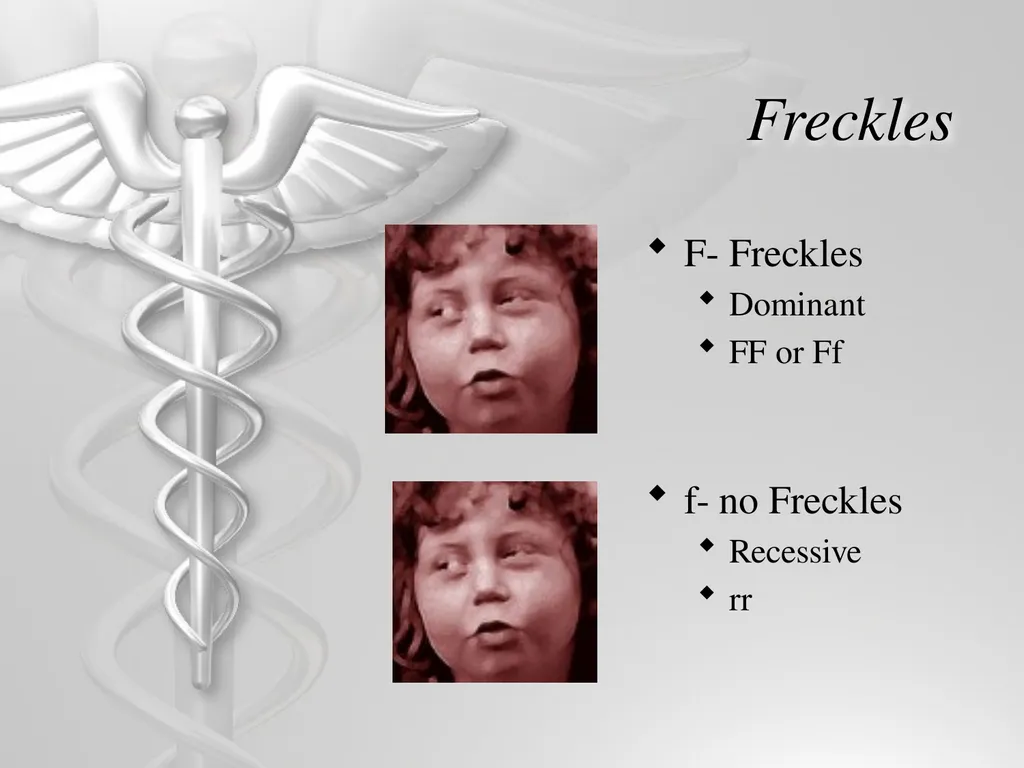 Heredity and Genetics Mendelian Human Genetic - slide 9 of 13
