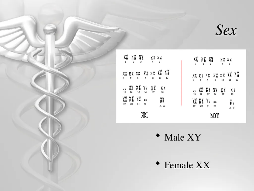 Heredity and Genetics Mendelian Human Genetic - slide 6 of 13