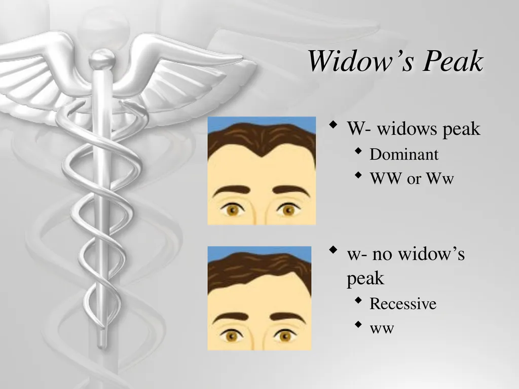 Heredity and Genetics Mendelian Human Genetic - slide 10 of 13