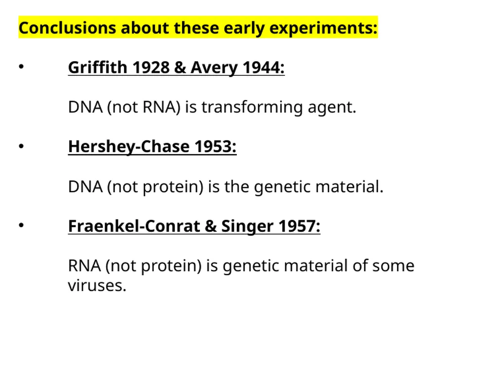 General Information Prof. Saad Alkahtani Professor - slide 17 of 17