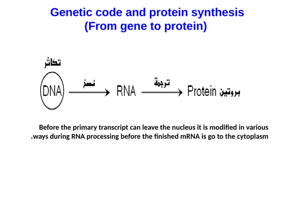 General Information Prof. Saad Alkahtani Professor - slide 5 of 17