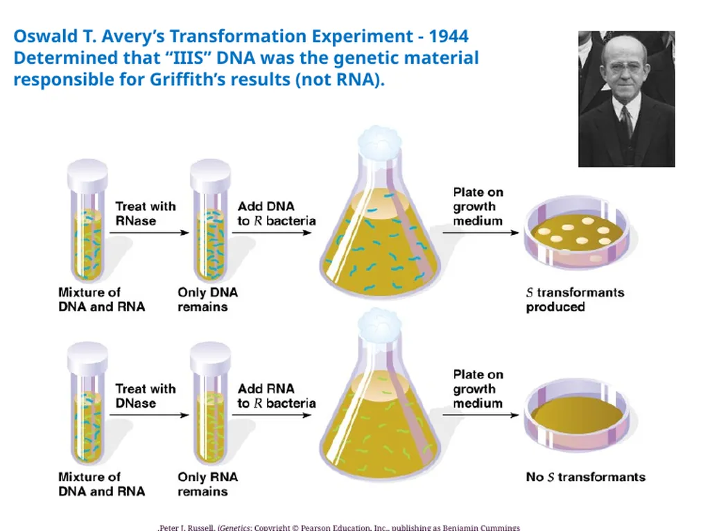 General Information Prof. Saad Alkahtani Professor - slide 12 of 17