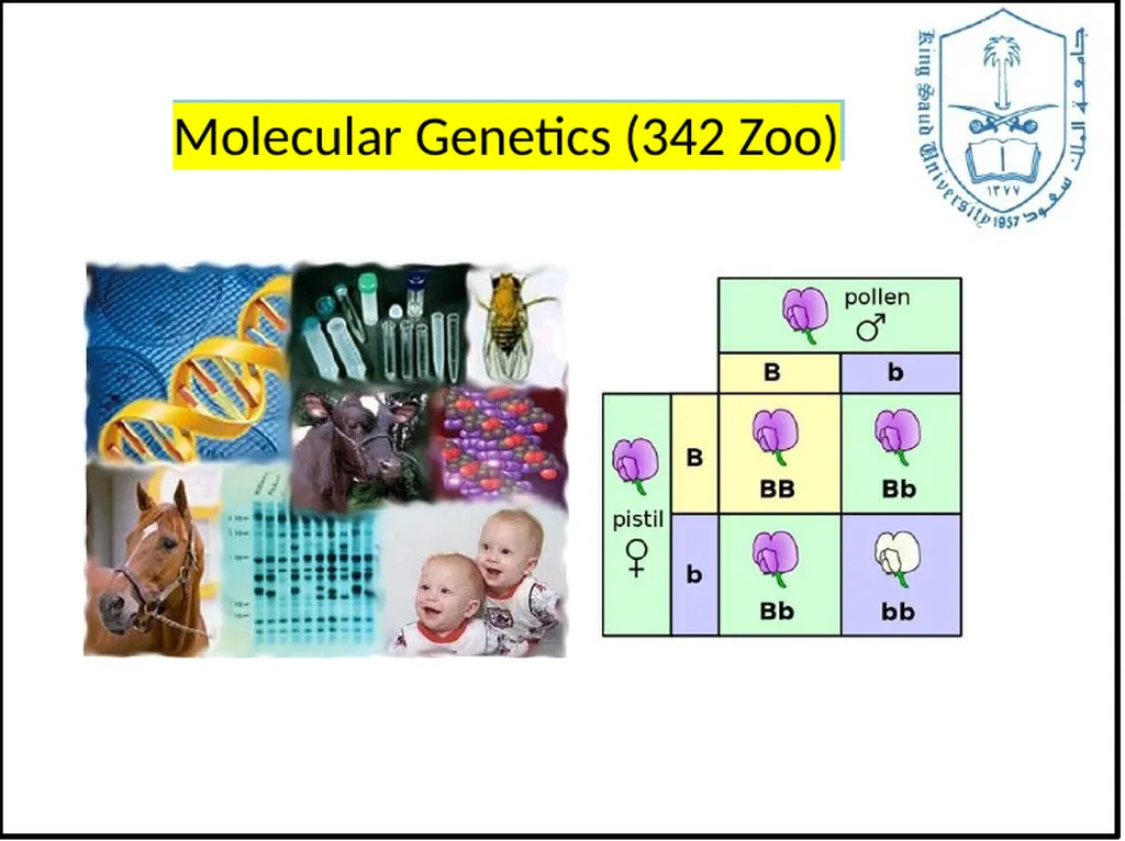 General Information Prof. Saad Alkahtani Professor - slide 1 of 17