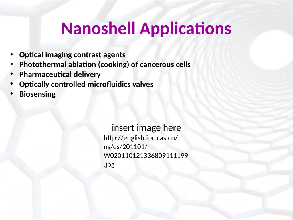 Introduction to Nanotechnology: Insights into a - slide 18 of 22