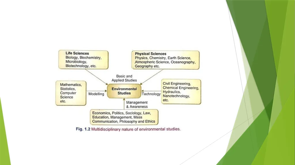 MULTIDISCIPLINARY NATURE OF ENVIRONMENTAL STUDIES - slide 11 of 15