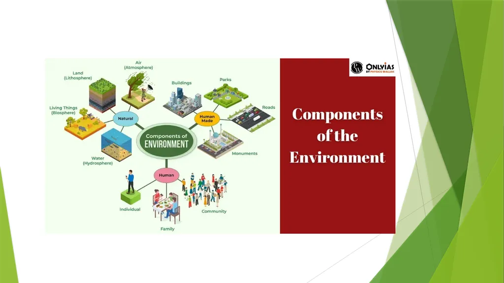 MULTIDISCIPLINARY NATURE OF ENVIRONMENTAL STUDIES - slide 5 of 15