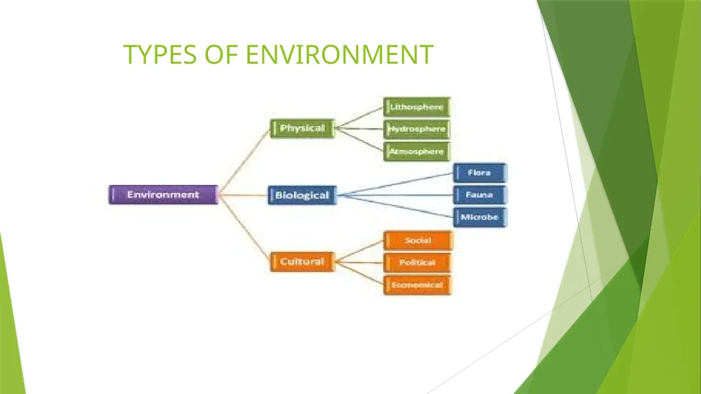 MULTIDISCIPLINARY NATURE OF ENVIRONMENTAL STUDIES - slide 4 of 15