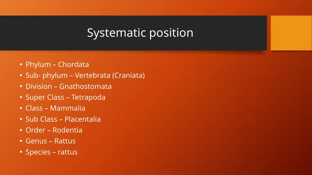 B.Sc.Part-I, Semester-II Zoology,DSC15B,Paper III - slide 2 of 8
