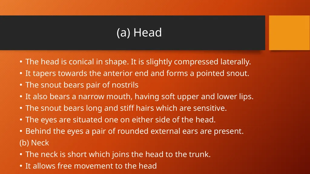 B.Sc.Part-I, Semester-II Zoology,DSC15B,Paper III - slide 6 of 8