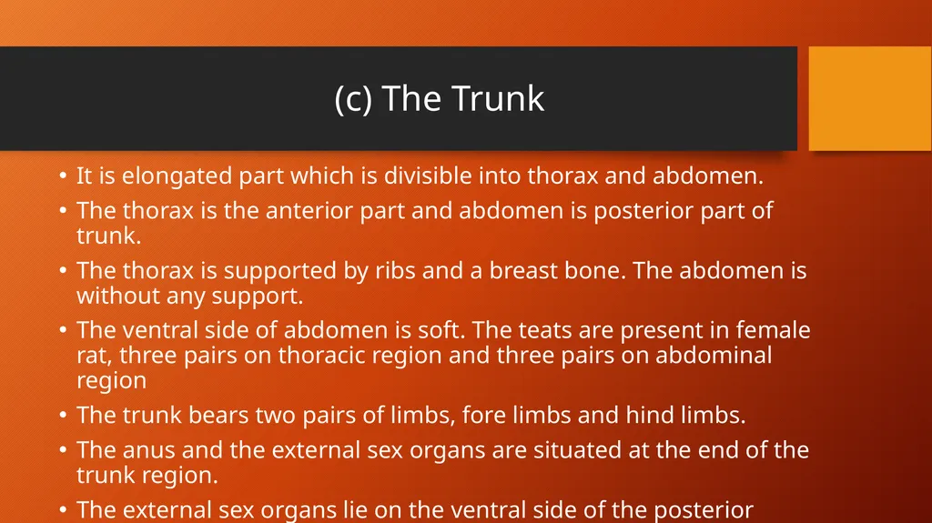 B.Sc.Part-I, Semester-II Zoology,DSC15B,Paper III - slide 7 of 8