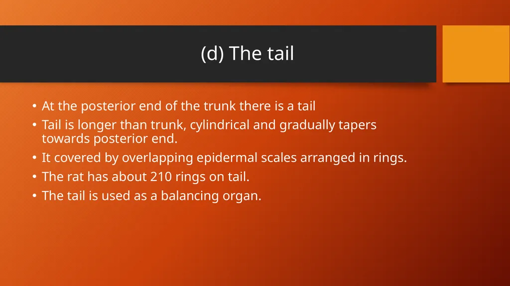 B.Sc.Part-I, Semester-II Zoology,DSC15B,Paper III - slide 8 of 8