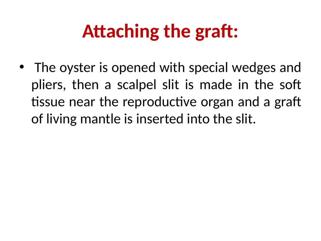 Pearl culture By Dr. Devendra Kumar Assistant - slide 24 of 33