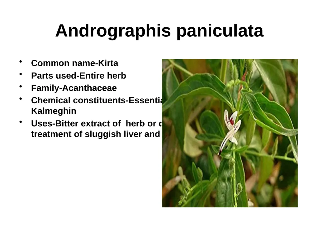 ETHNO BOTANY ETHNO BOTANY The term ethno botany - slide 32 of 41