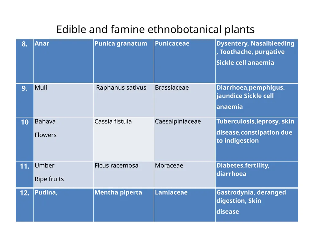 ETHNO BOTANY ETHNO BOTANY The term ethno botany - slide 24 of 41
