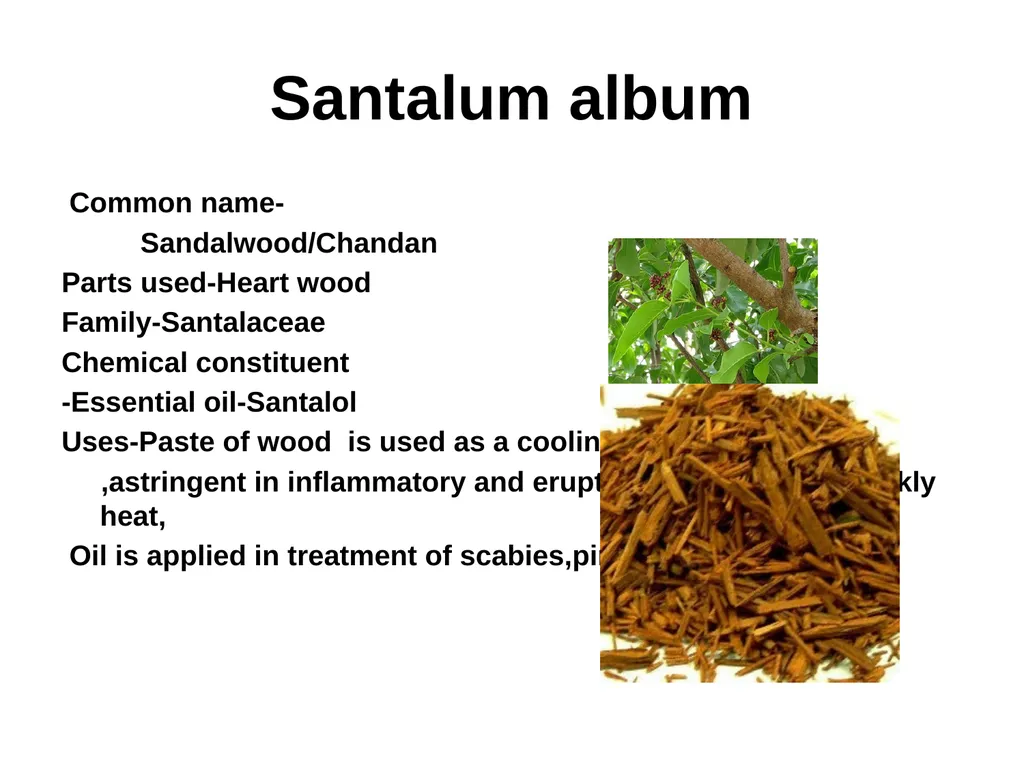 ETHNO BOTANY ETHNO BOTANY The term ethno botany - slide 30 of 41