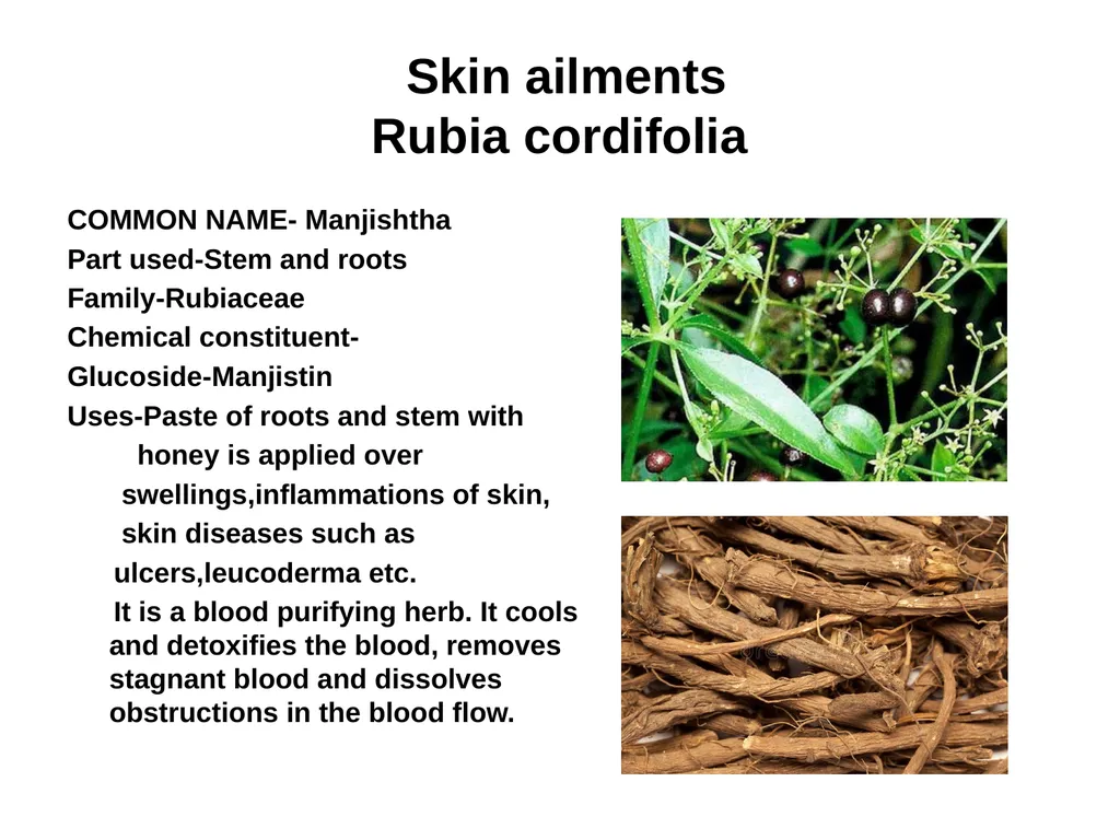 ETHNO BOTANY ETHNO BOTANY The term ethno botany - slide 29 of 41