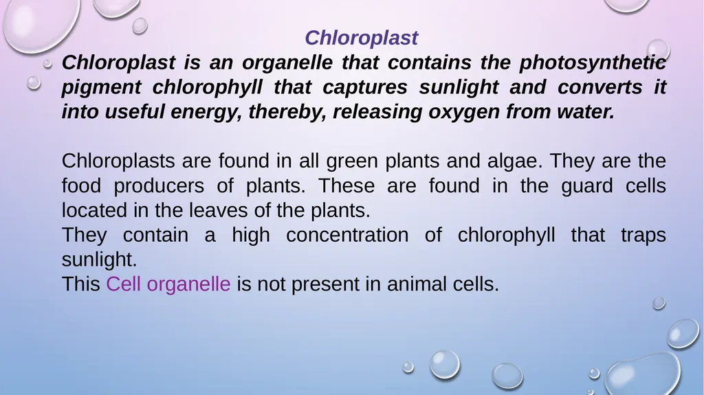 Presented By Dr. Manjusha Ingawale. B.Sc.I Sem I - slide 3 of 6
