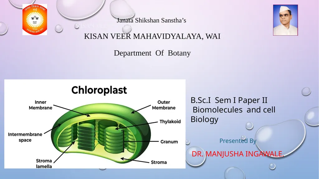 Presented By Dr. Manjusha Ingawale. B.Sc.I Sem I - slide 1 of 6