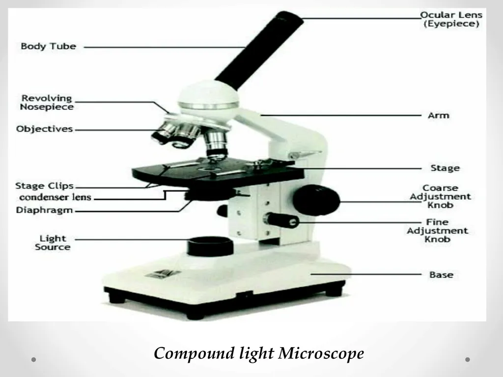 Lab 1 What is the laboratory? ▪ An area for - slide 18 of 18