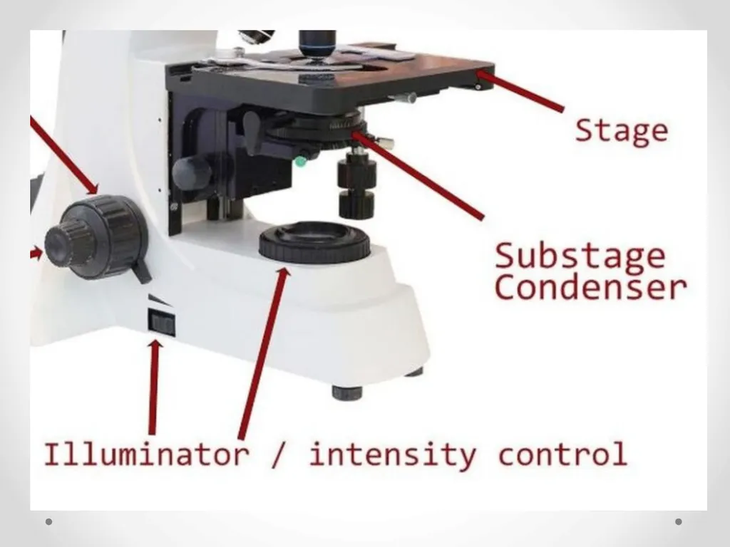 Lab 1 What is the laboratory? ▪ An area for - slide 12 of 18