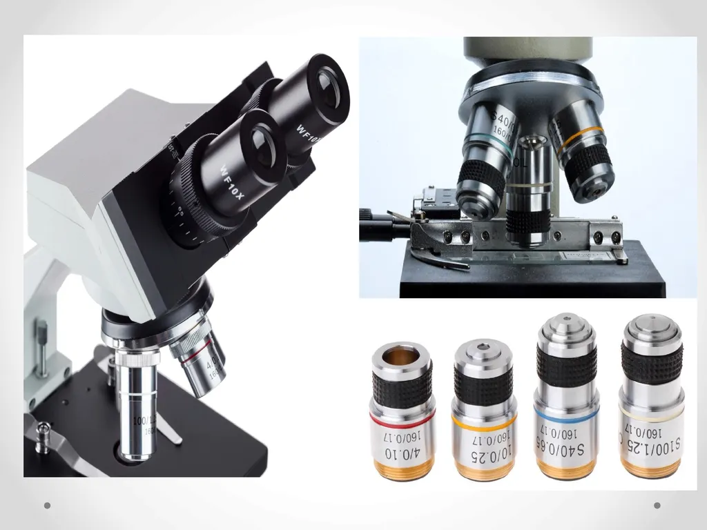 Lab 1 What is the laboratory? ▪ An area for - slide 14 of 18