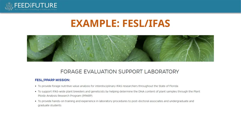 LABORATORY MANAGEMENT FEED THE FUTURE INNOVATION - slide 7 of 12