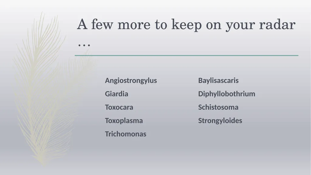 Laboratory Testing for Human Parasites Cathy - slide 6 of 19