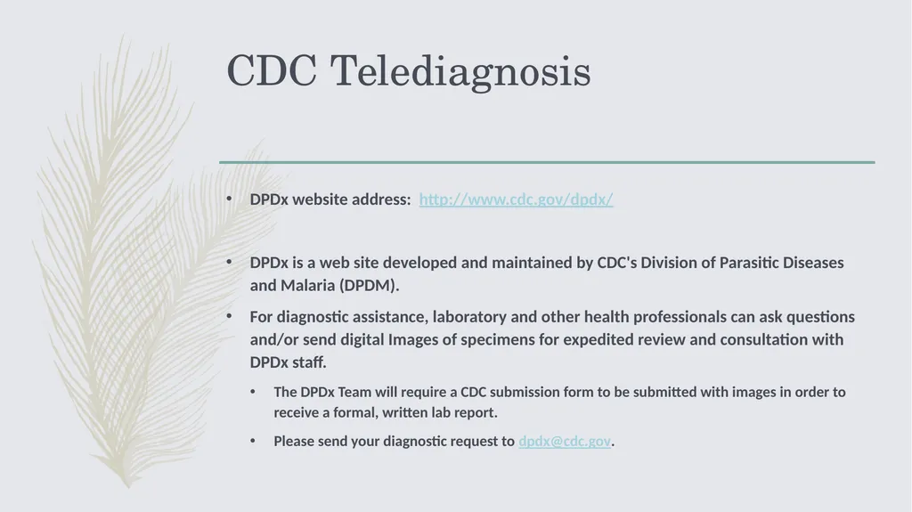 Laboratory Testing for Human Parasites Cathy - slide 16 of 19