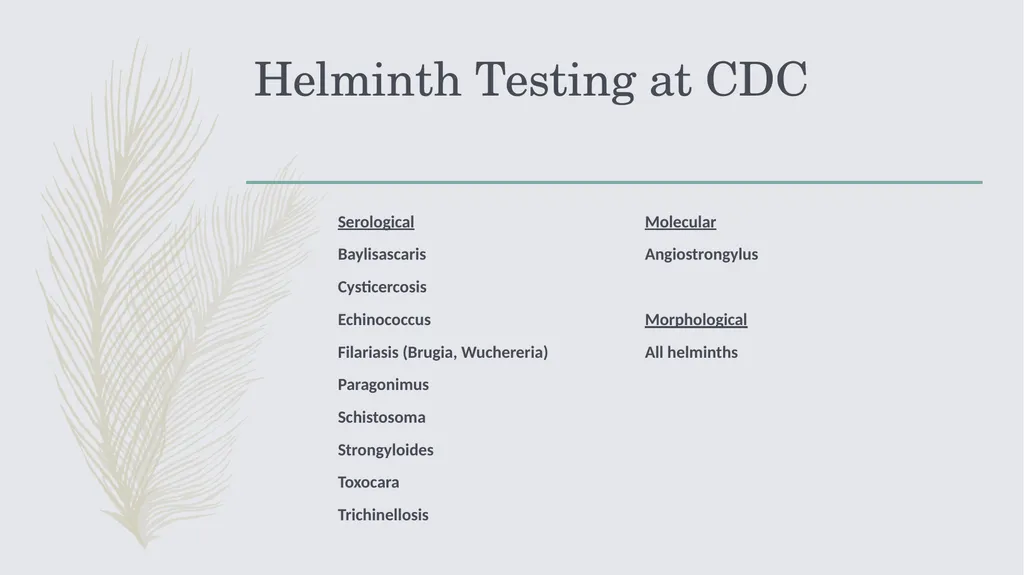 Laboratory Testing for Human Parasites Cathy - slide 12 of 19