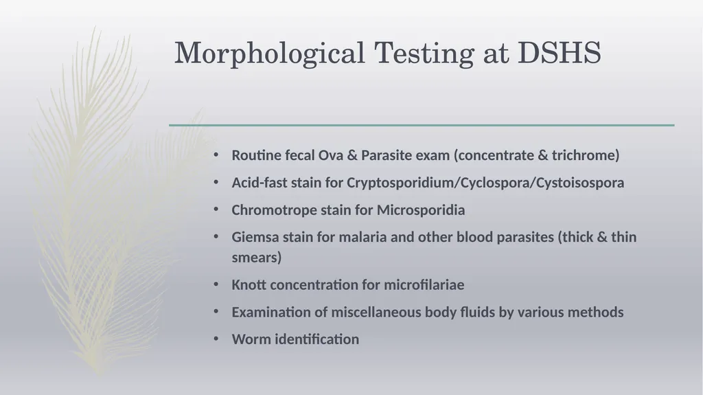 Laboratory Testing for Human Parasites Cathy - slide 9 of 19