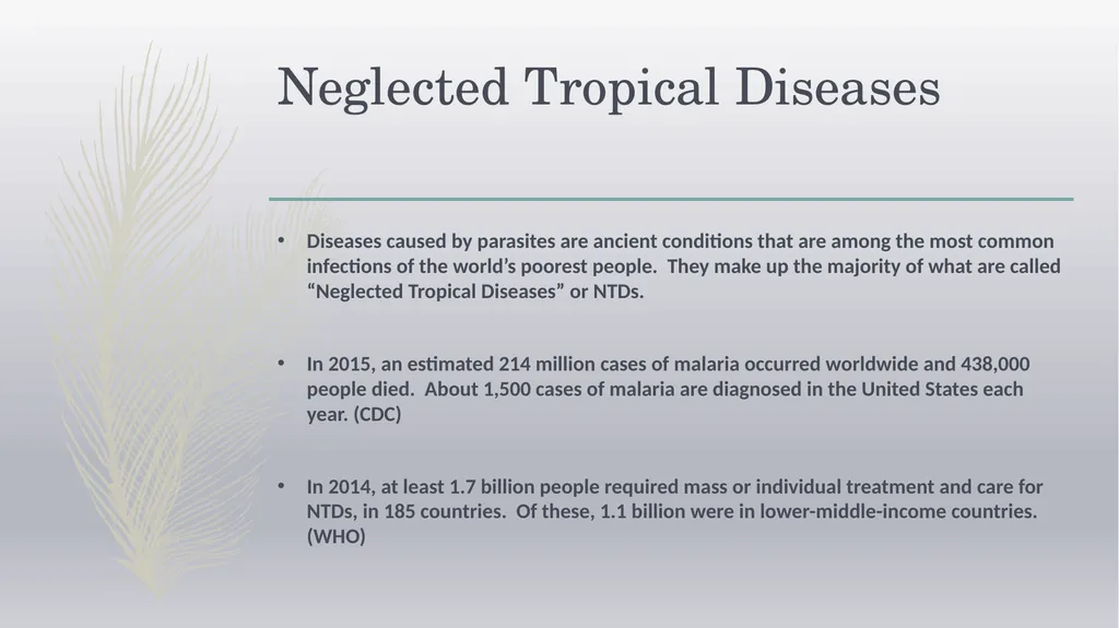 Laboratory Testing for Human Parasites Cathy - slide 3 of 19