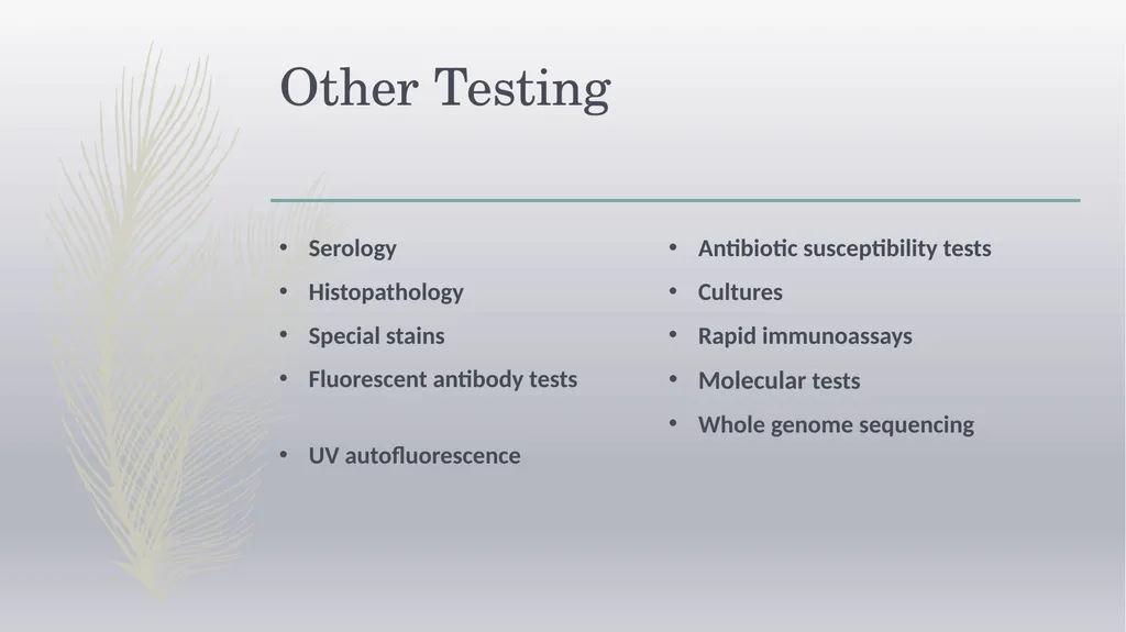 Laboratory Testing for Human Parasites Cathy - slide 8 of 19