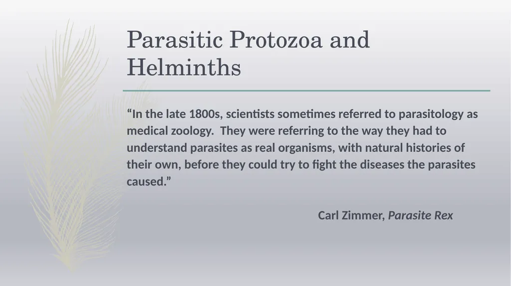 Laboratory Testing for Human Parasites Cathy - slide 2 of 19
