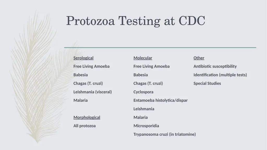 Laboratory Testing for Human Parasites Cathy - slide 11 of 19