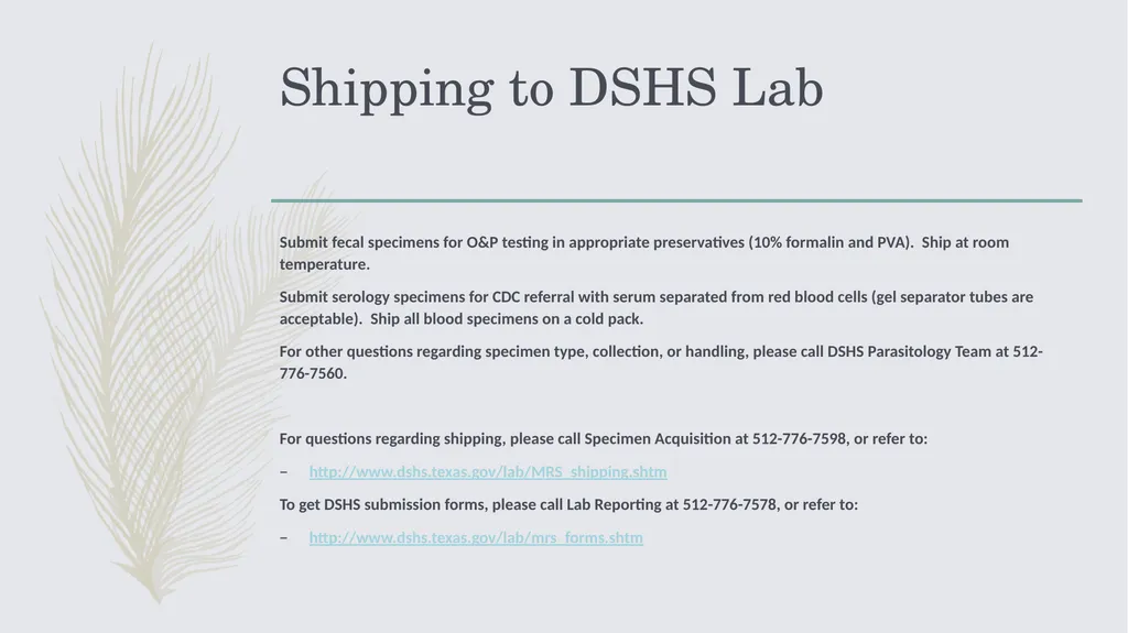 Laboratory Testing for Human Parasites Cathy - slide 15 of 19
