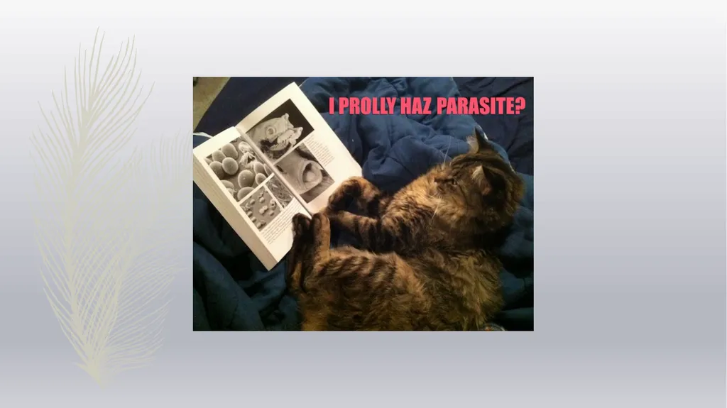 Laboratory Testing for Human Parasites Cathy - slide 19 of 19