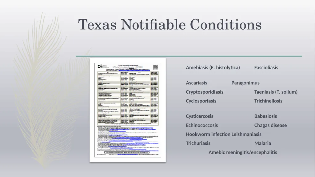 Laboratory Testing for Human Parasites Cathy - slide 5 of 19
