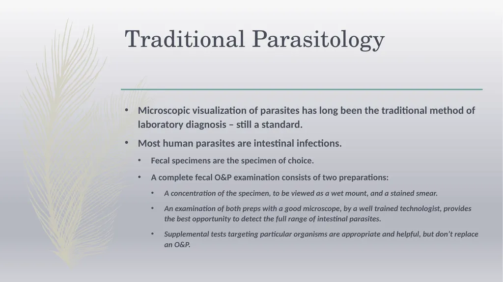 Laboratory Testing for Human Parasites Cathy - slide 7 of 19