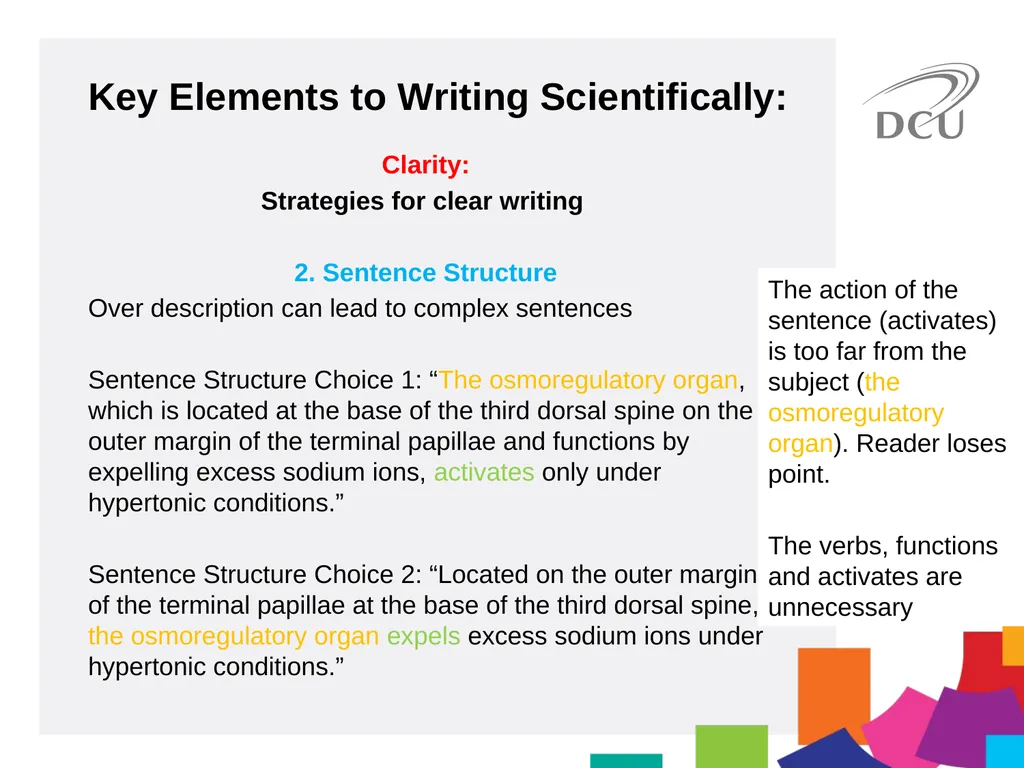 Scientific Writing DCU Student Learning Key - slide 17 of 39