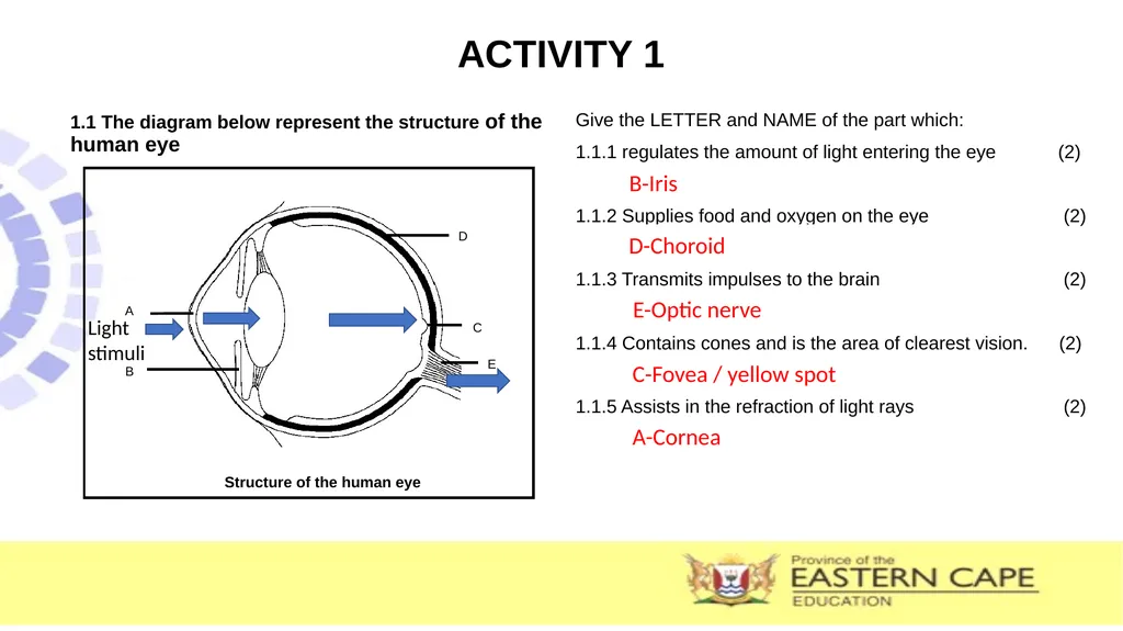 SUBJECT : LIFE SCIENCES LEAD TEACHER : SOTSAKA .M - slide 10 of 11