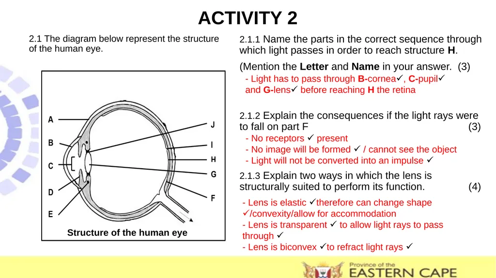 SUBJECT : LIFE SCIENCES LEAD TEACHER : SOTSAKA .M - slide 11 of 11