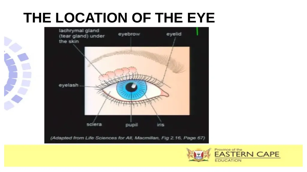 SUBJECT : LIFE SCIENCES LEAD TEACHER : SOTSAKA .M - slide 5 of 11