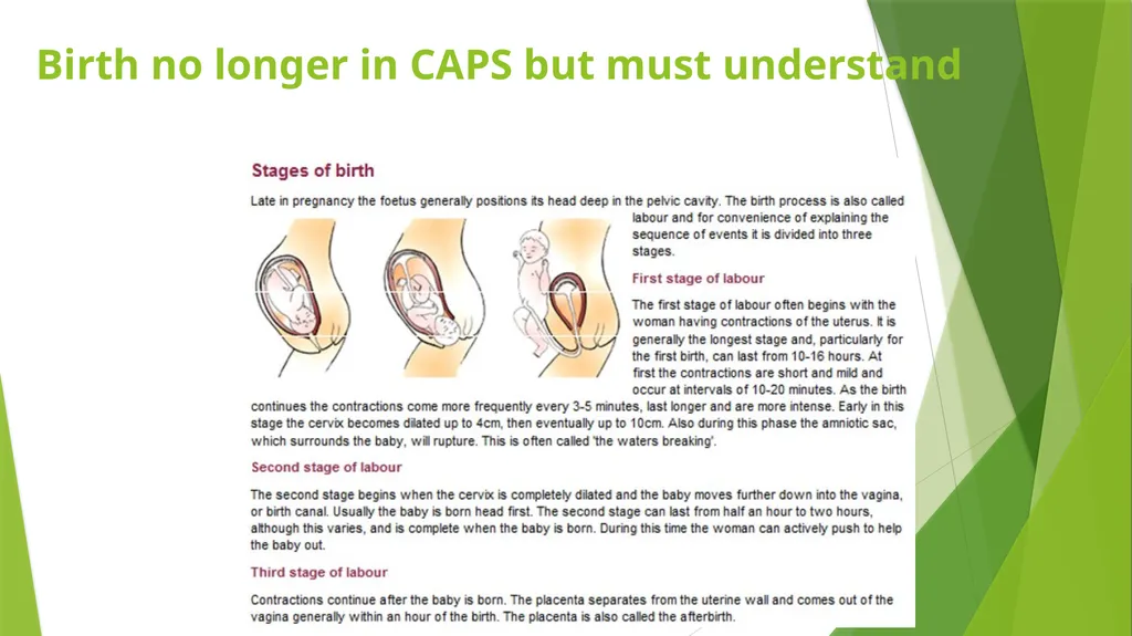 ASSET GRADE 12 LIFE SCIENCES REVISION 2020 Human - slide 11 of 12