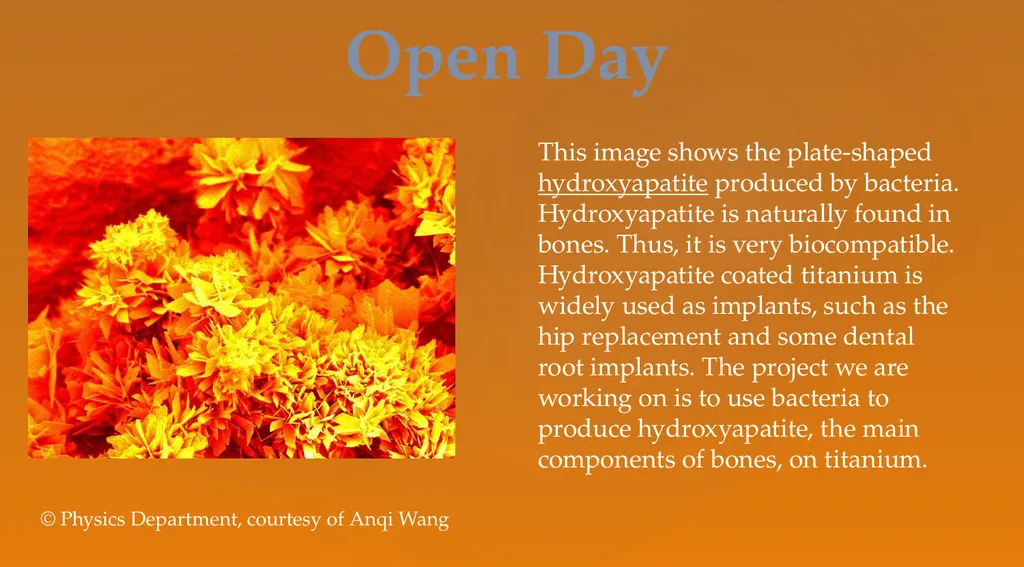 Open Day This image shows the plate-shaped - slide 1 of 55