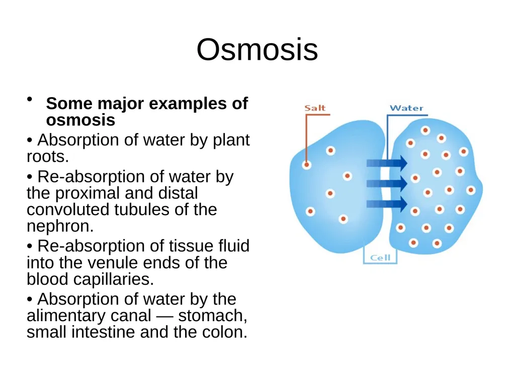 BioInorganic Chemistry Week 1 Dear students, - slide 18 of 21