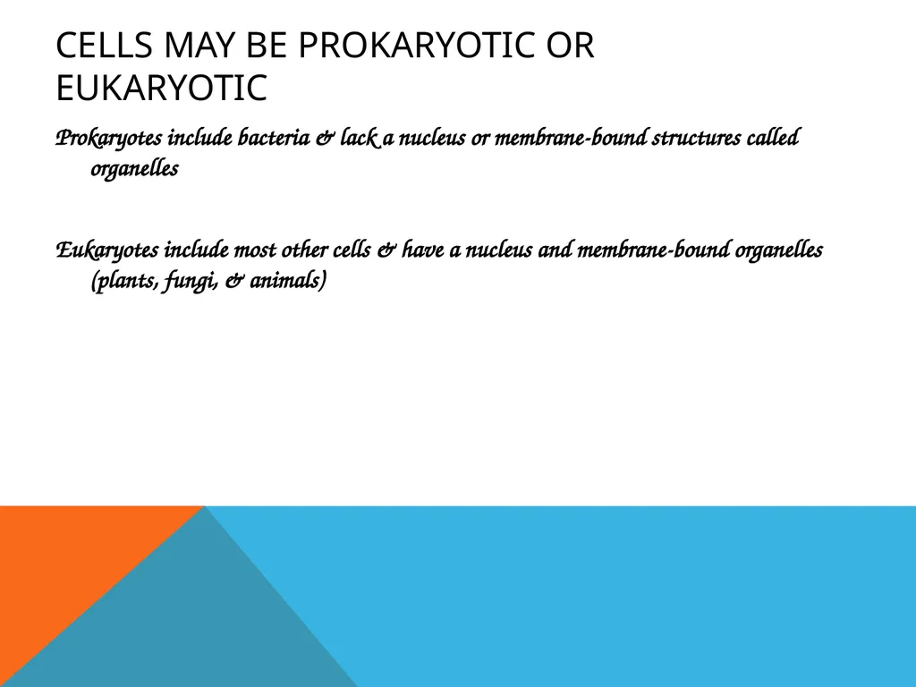 Biochemistry dr. nalaa qassim muftin Biochemistry - slide 6 of 15